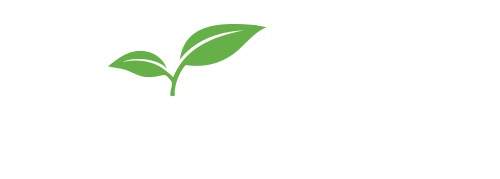 Treepot Media